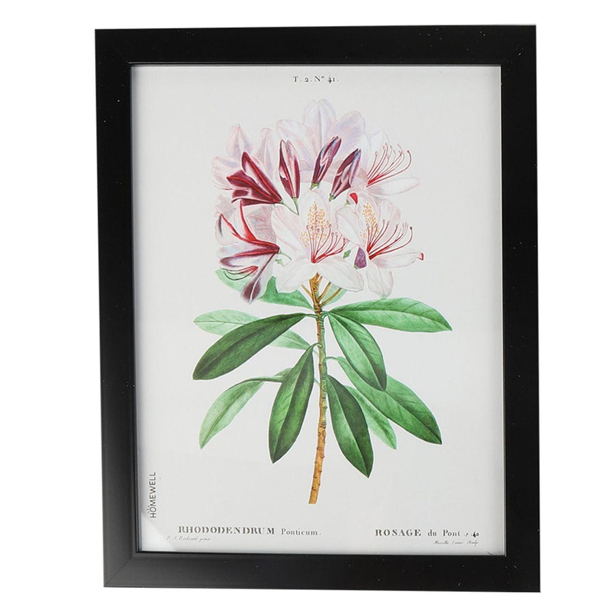 Marco Imagen Flores Rododendro 28x23cm