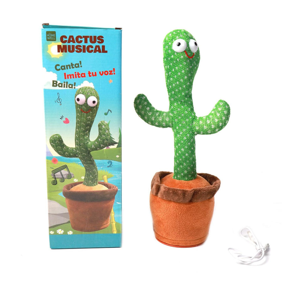 Cactus Bailarín 34x9cm