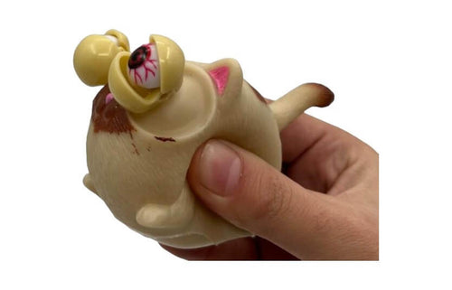 Gato Ojos Saltones