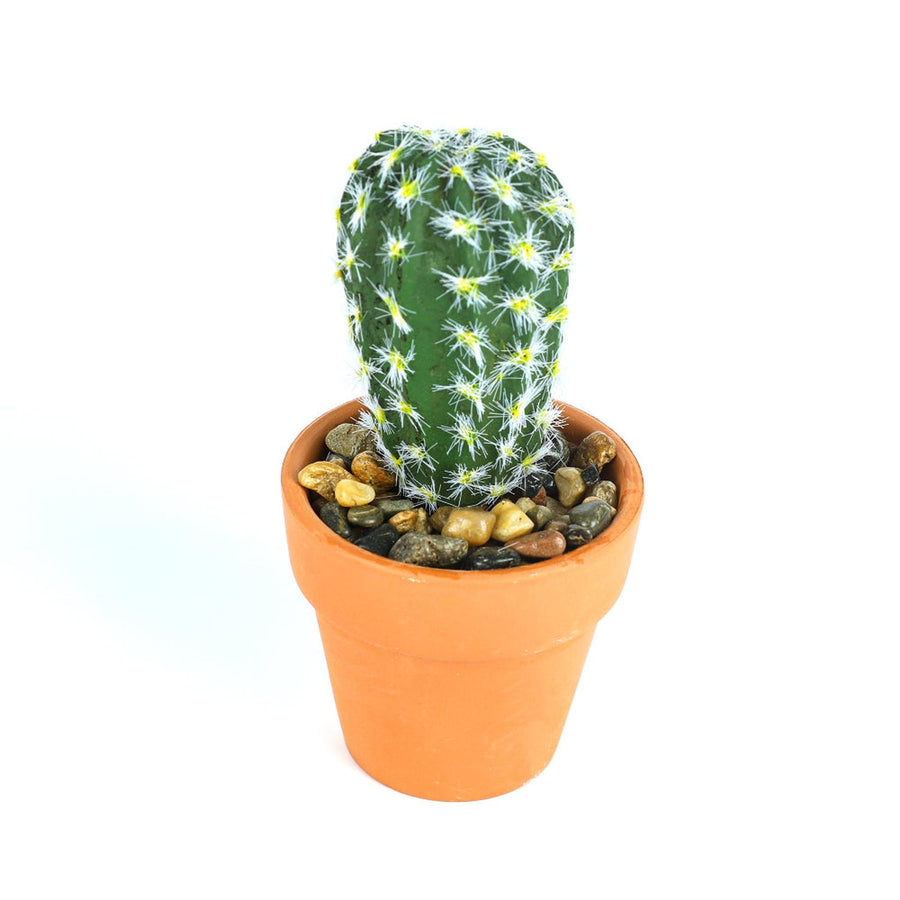Cactus Artificial Mediano 10*7cm
