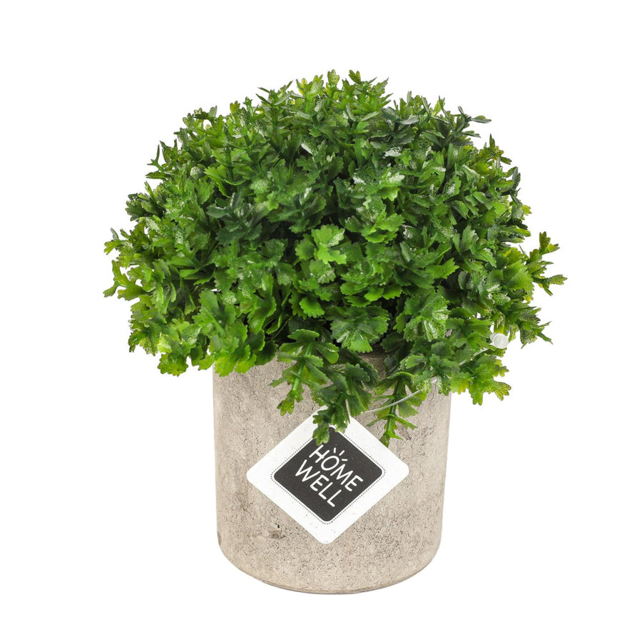Planta Artificial Boj Japónico
