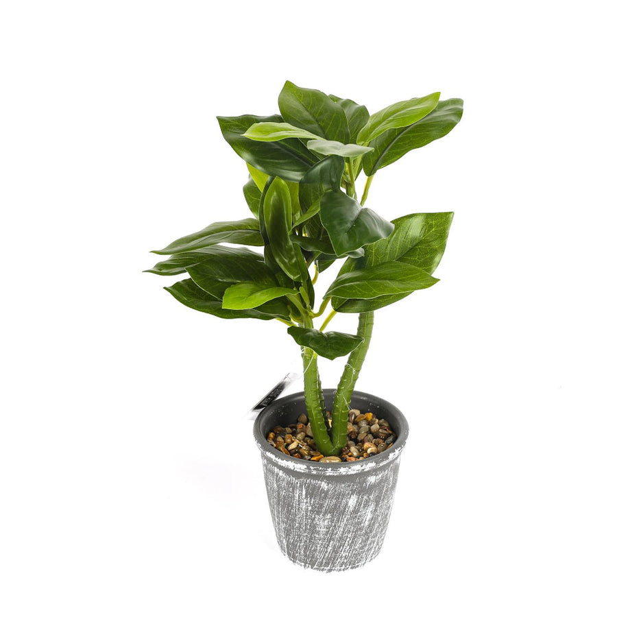 Planta Artificial Pachira 25cm