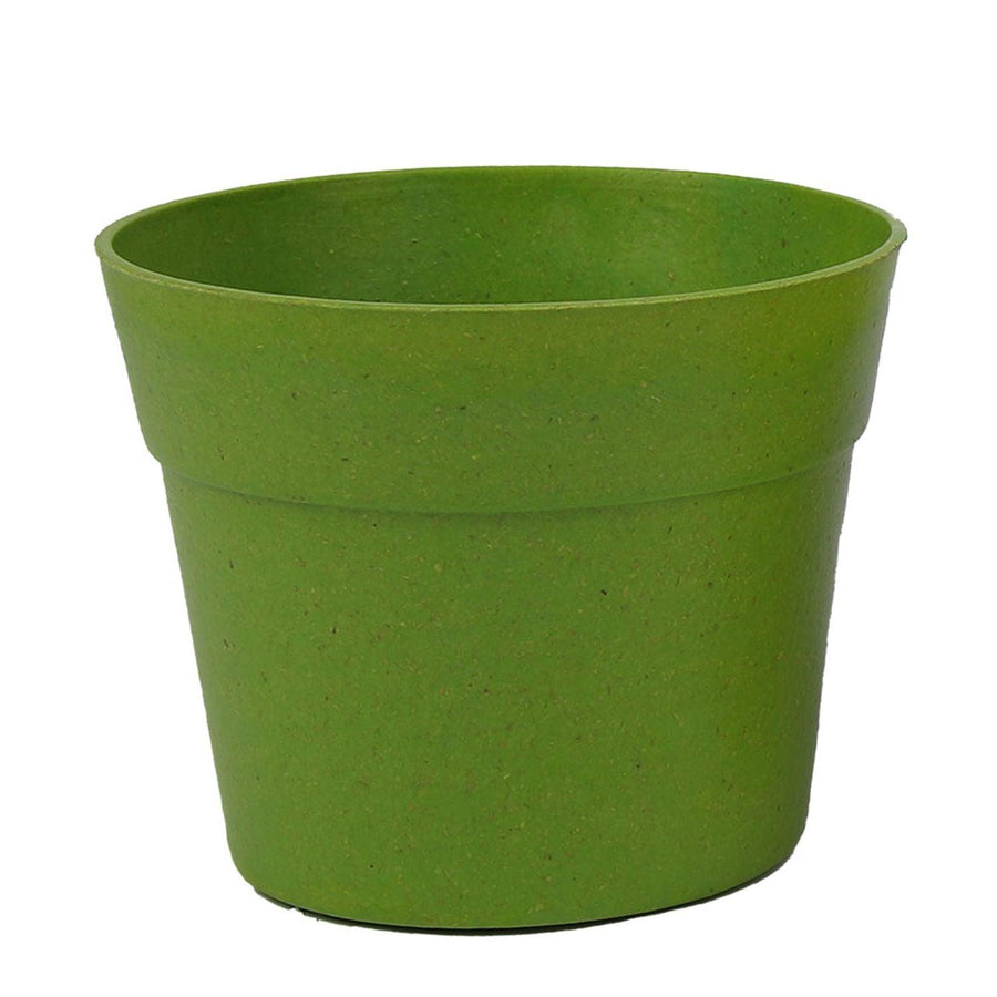 Macetero de Bambú Verde 11x9cm