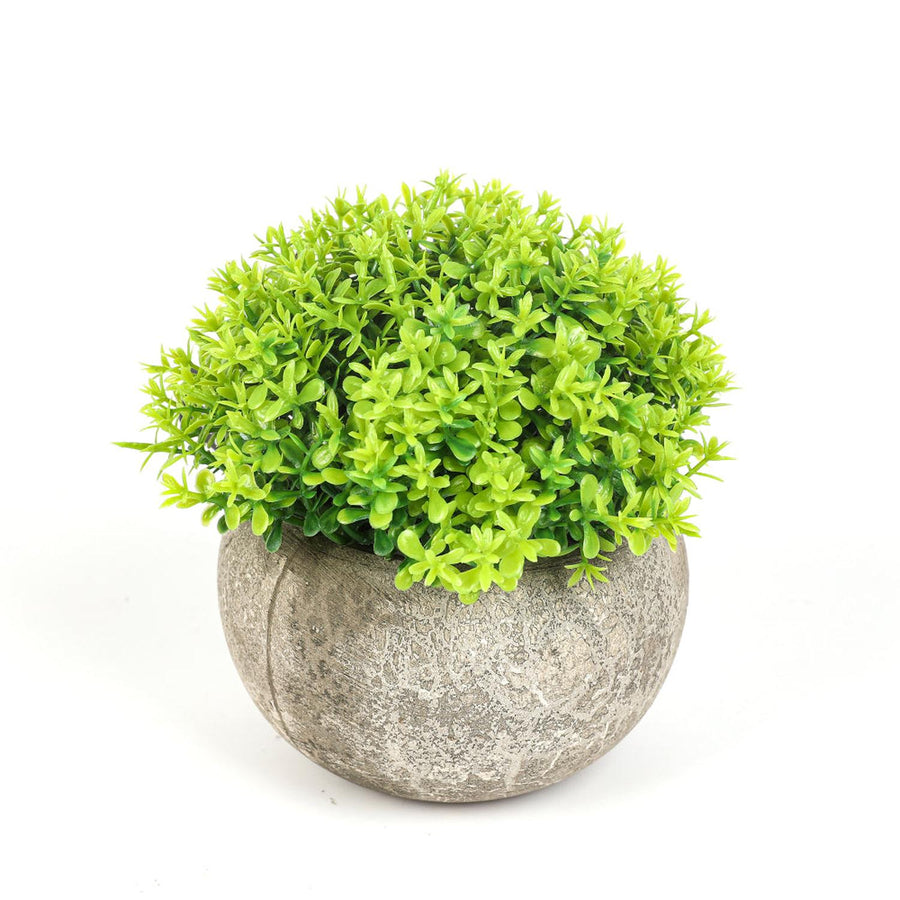 Planta Artificial Boj 11cm