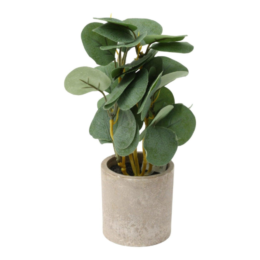 Planta Artificial 25.5cm