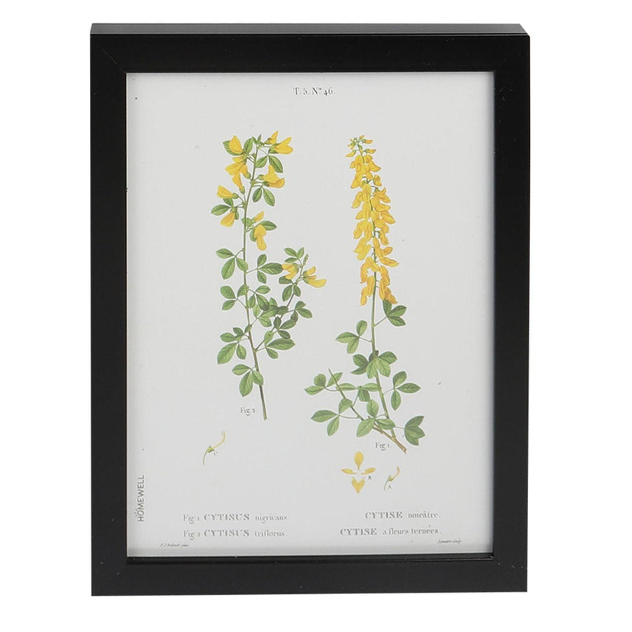 Marco Imagen Flores Lluvia de Oro 28x23cm