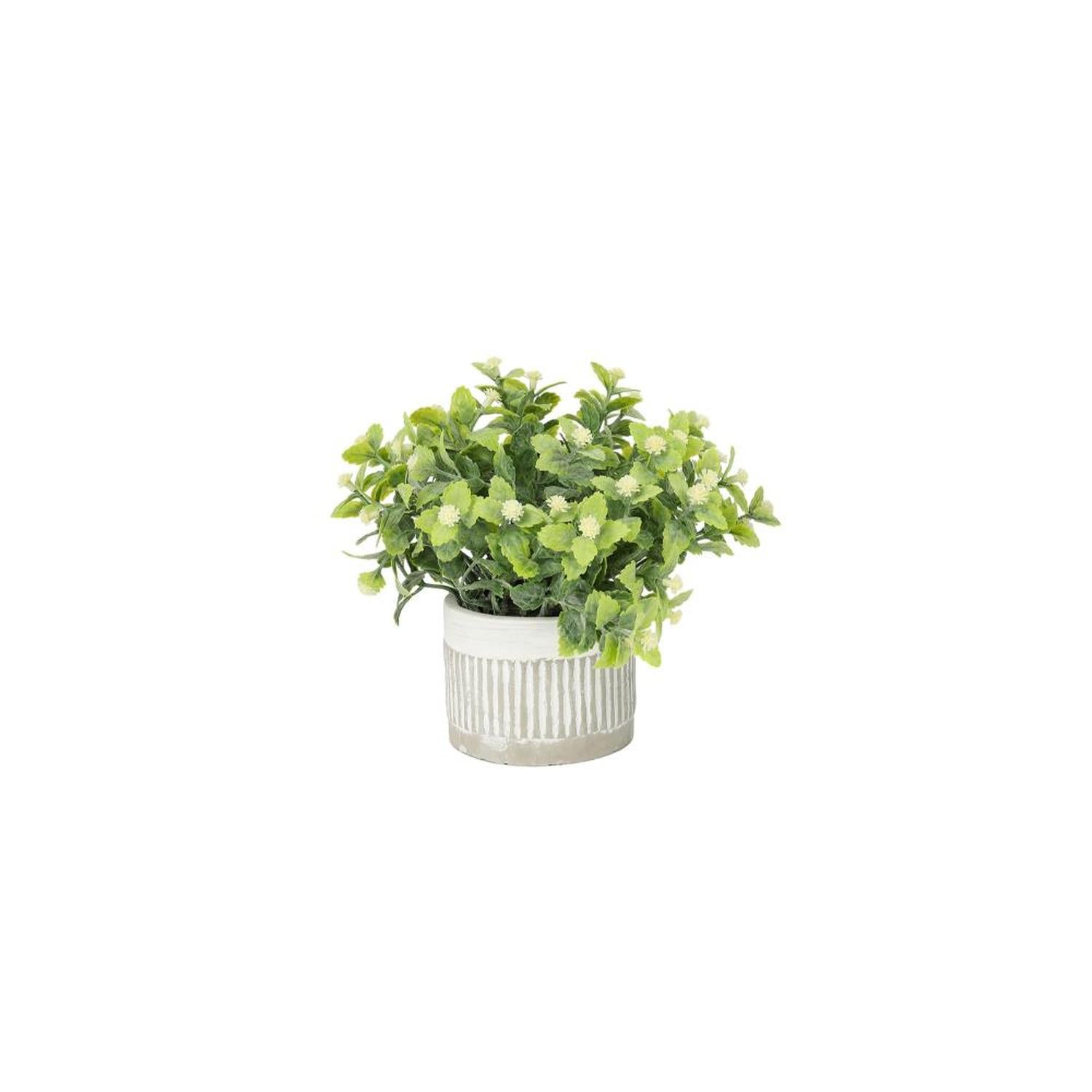 jpg_1500x1500_63138317