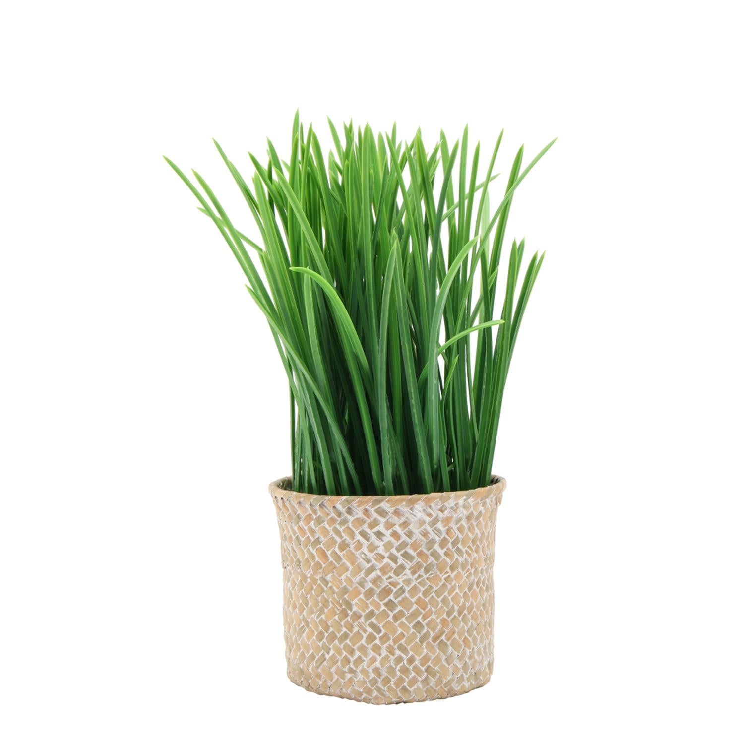 jpg_1500x1500_64415017