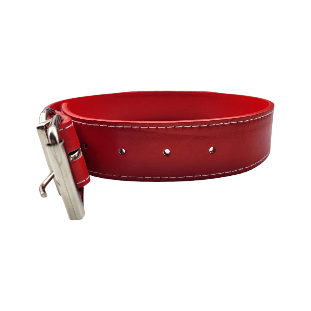 Collar para Mascota Rojo 3.5*60cm