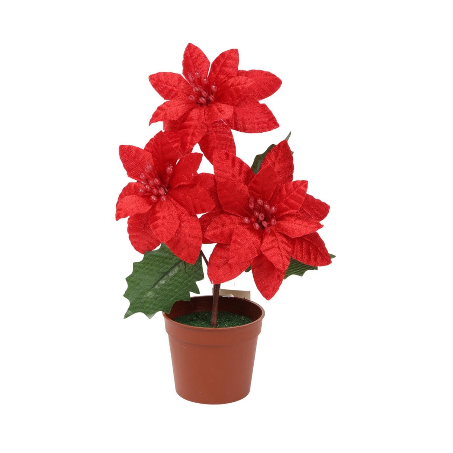 jpg_1500x1500_67855228