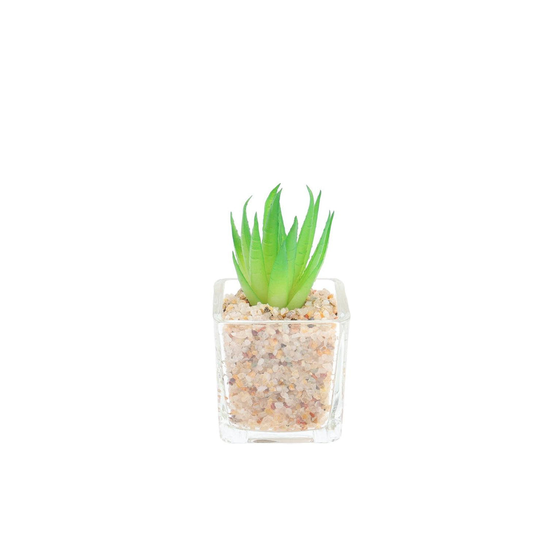 Suculenta artificial 5*8cm Decorativa