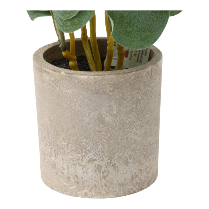 Planta Artificial 25.5cm