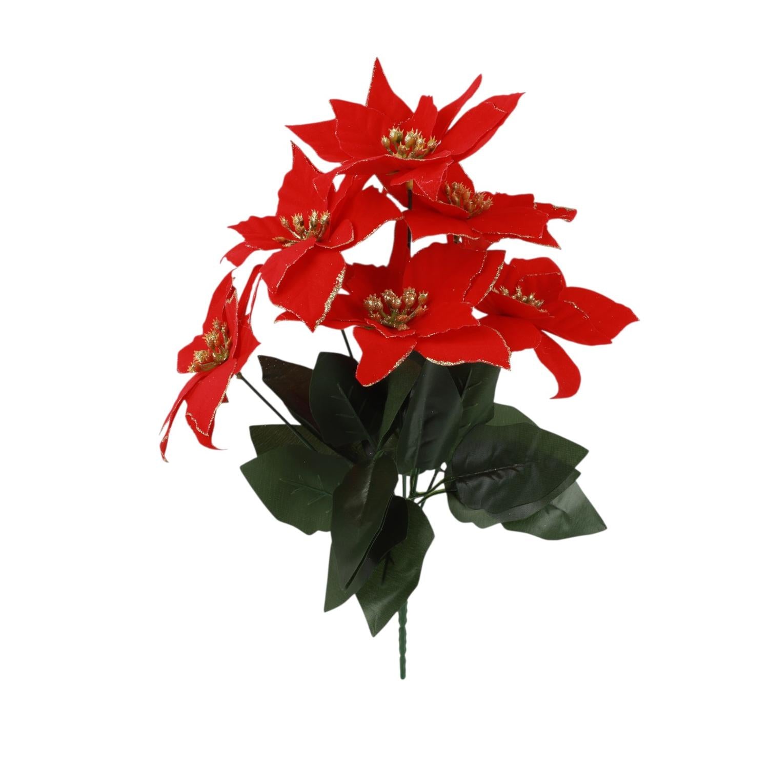 jpg_1500x1500_67890988