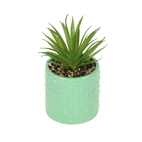 Planta Artificial Suculenta