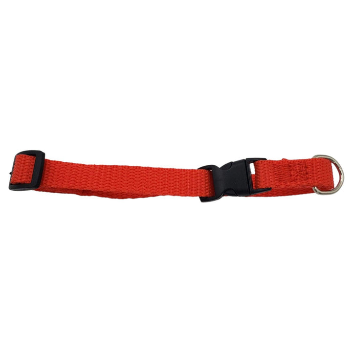 Collar Rojo para Mascotas 35cm