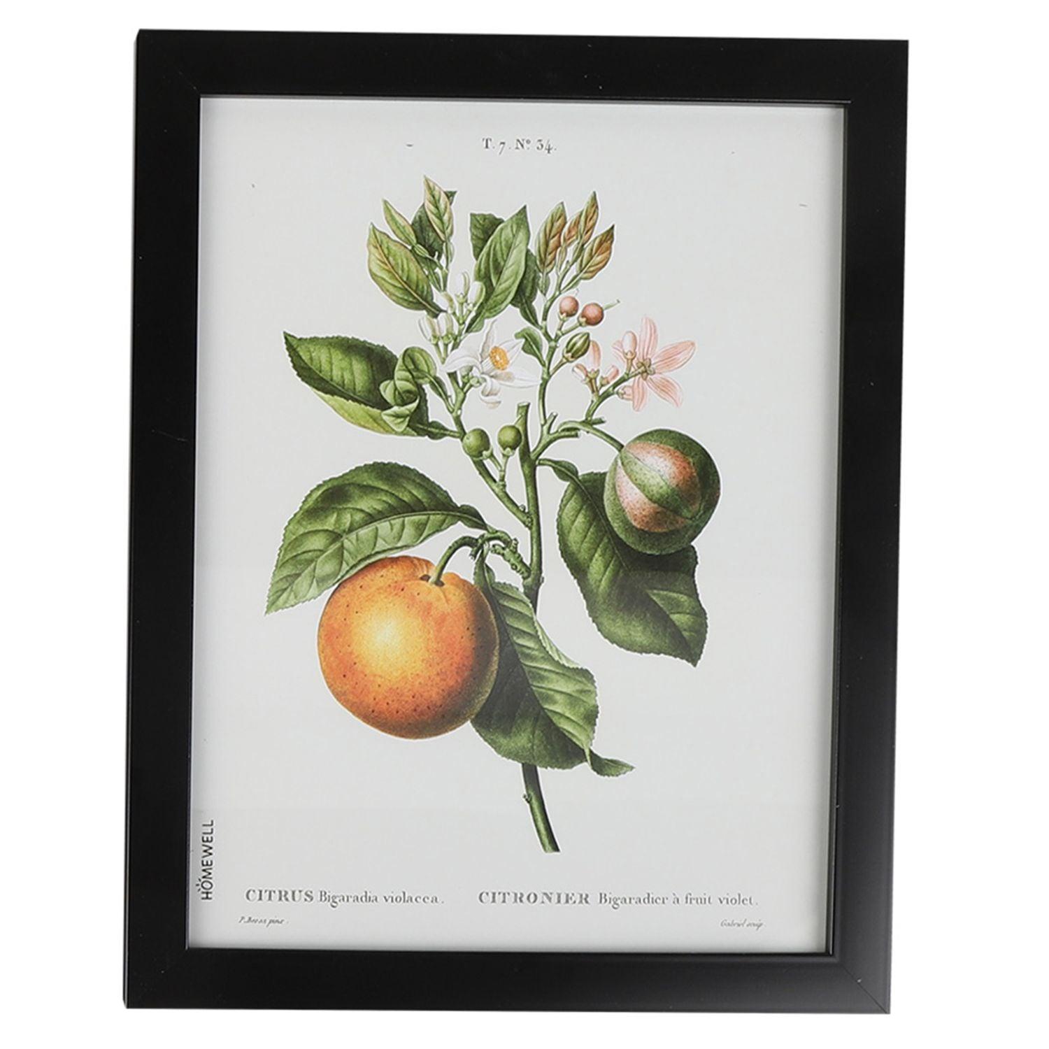 jpg_1500x1500_59873018