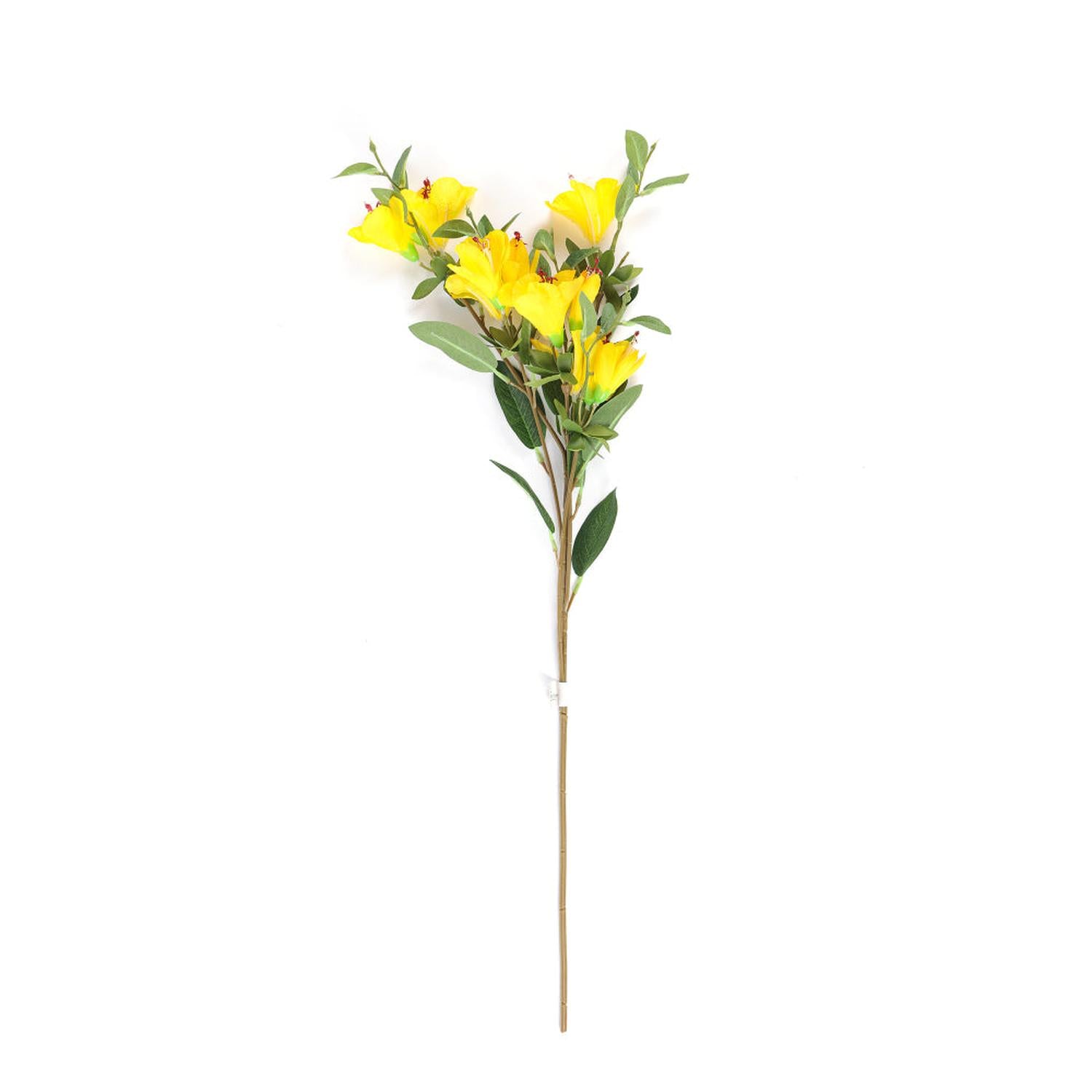 jpg_1500x1500_59872982