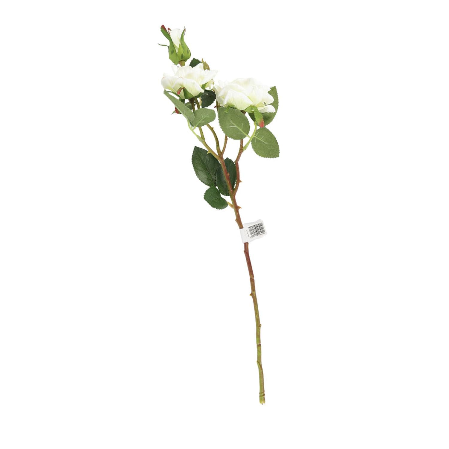 jpg_1500x1500_59872974