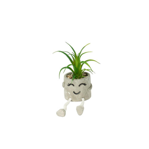 Planta Artificial Carita Feliz