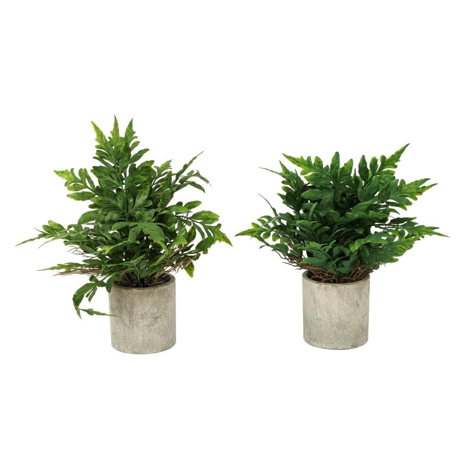 jpg_1500x1500_64842249