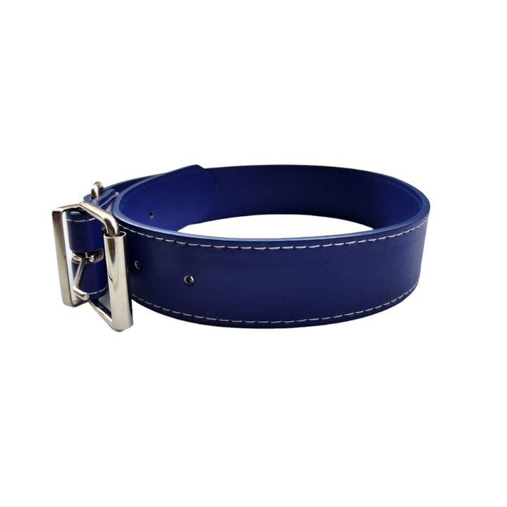 Collar para Mascota Azul 3.5*60cm