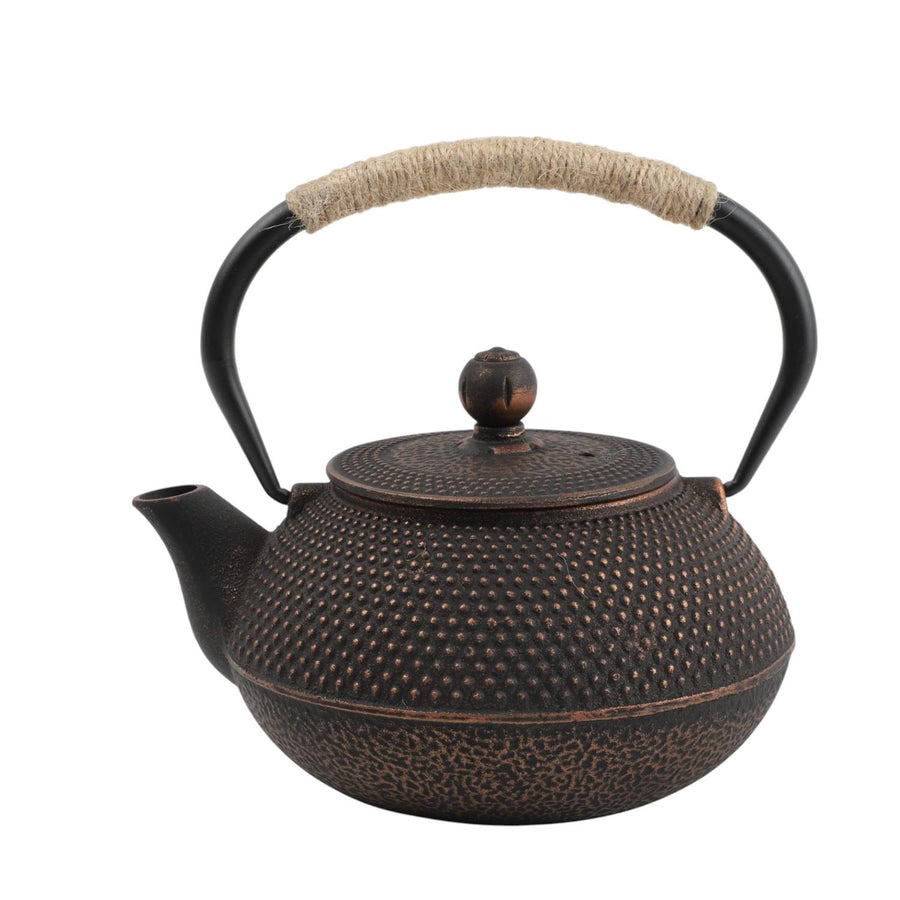Tetera de Fierro Fundido Estilo Japonés