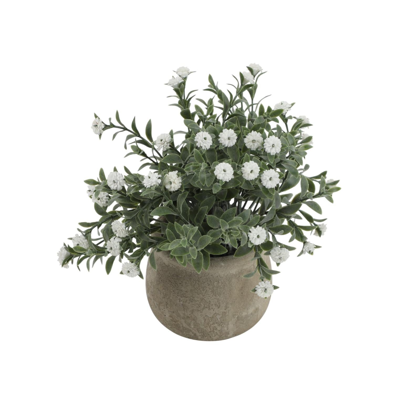 jpg_1500x1500_68731136