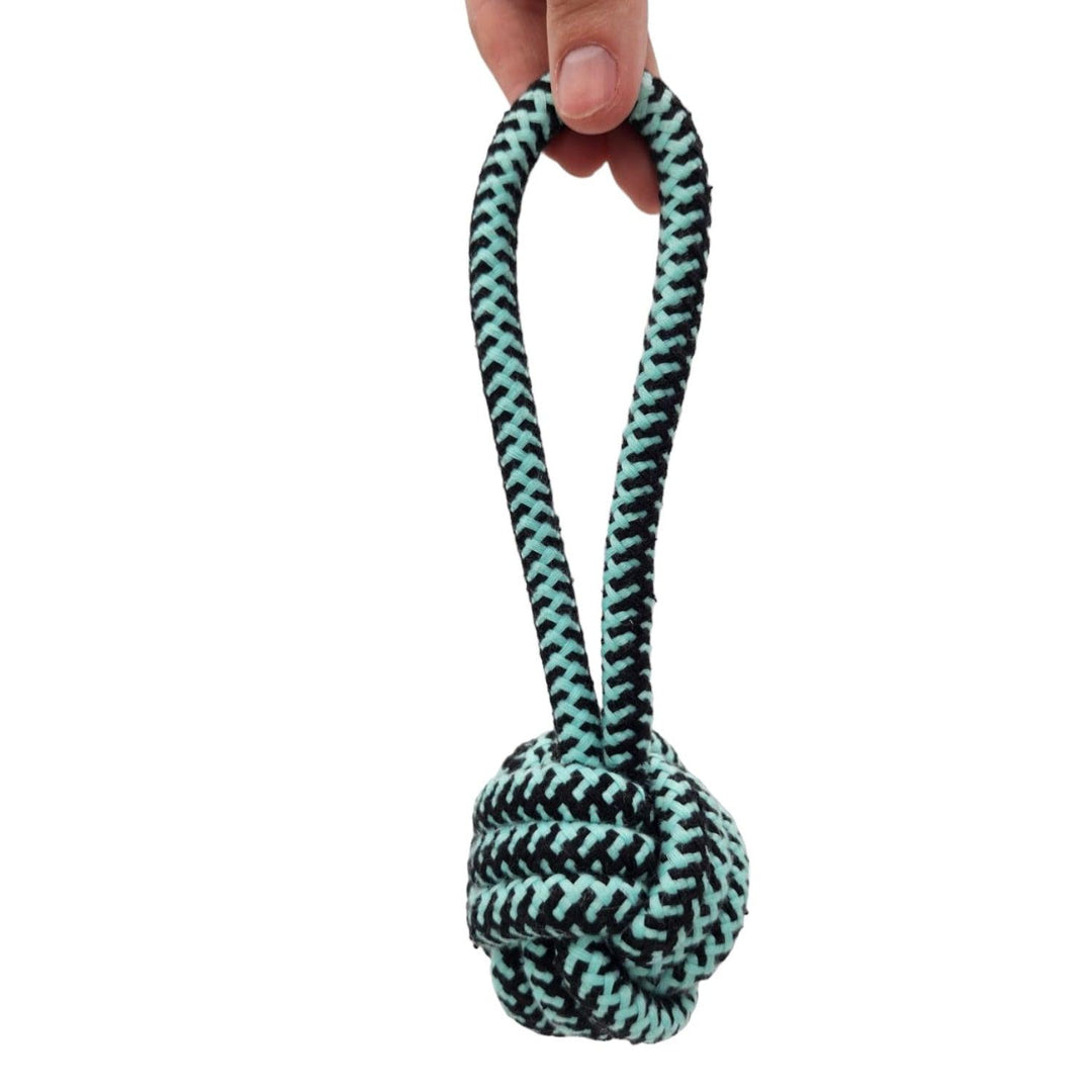 Pelota Cordel para Mascotas Celeste 22cm