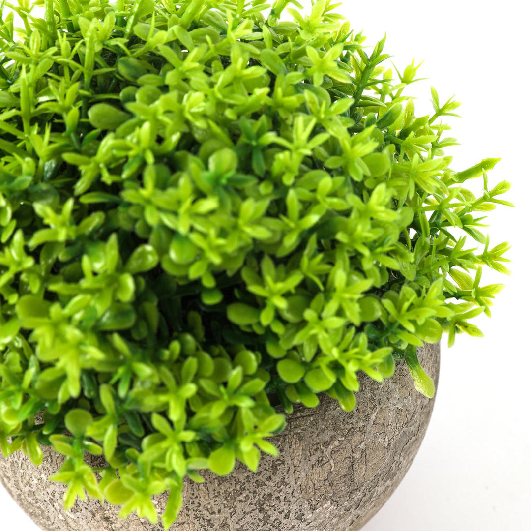 Planta  Artificial Boj 11cm