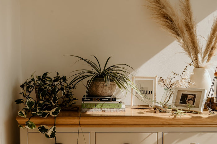 Decoración