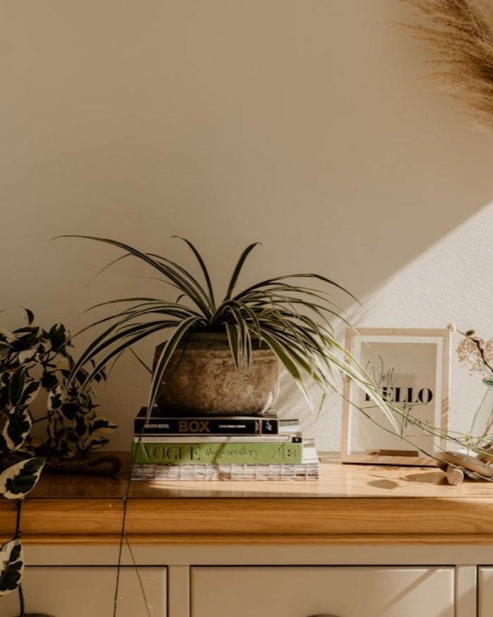 Detalles de decoración BIX