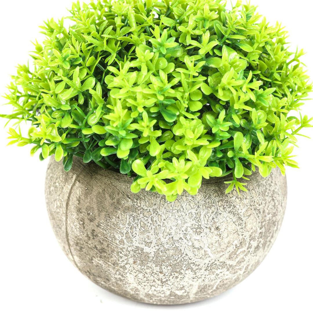 Planta  Artificial Boj 11cm