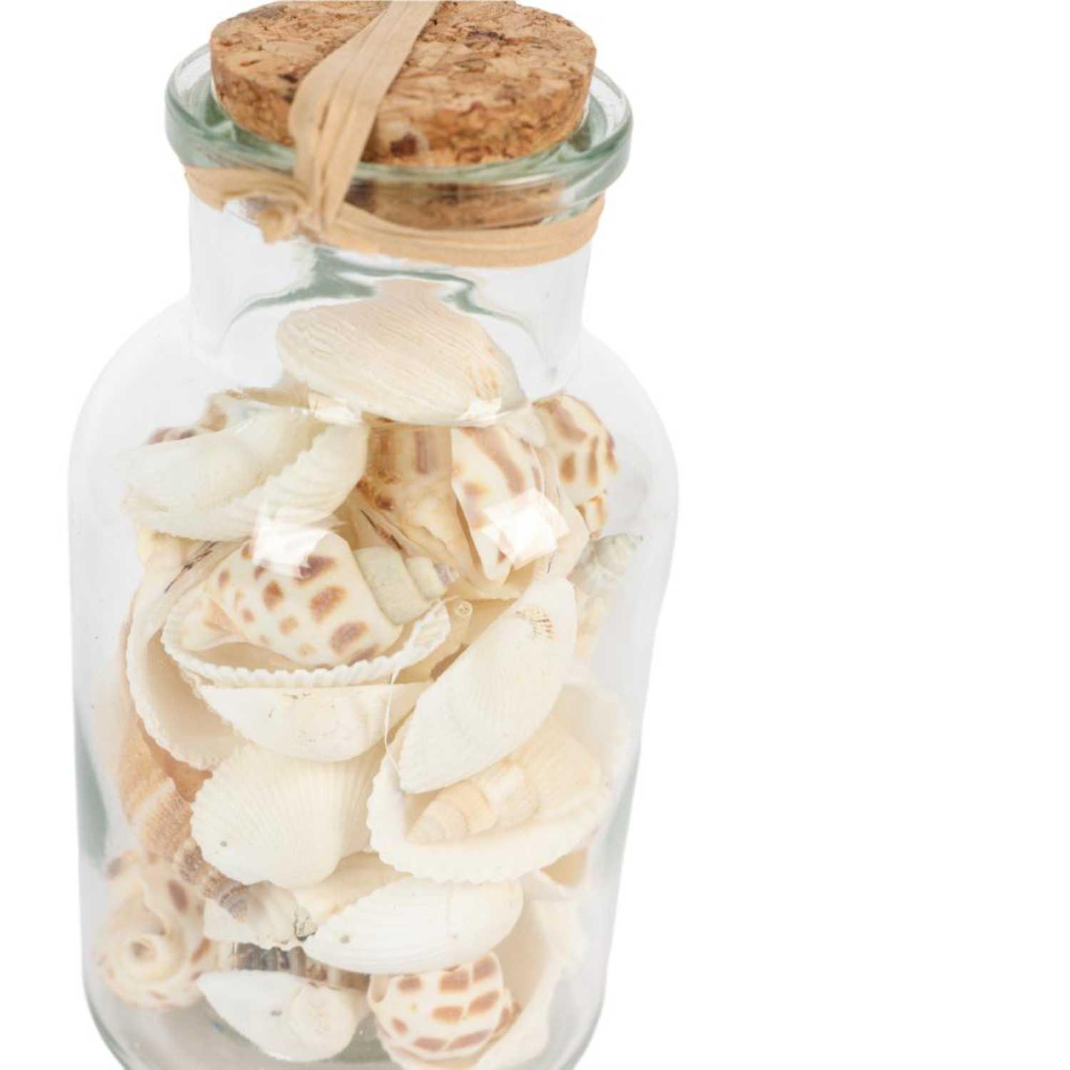 jpg_1500x1500_63092631