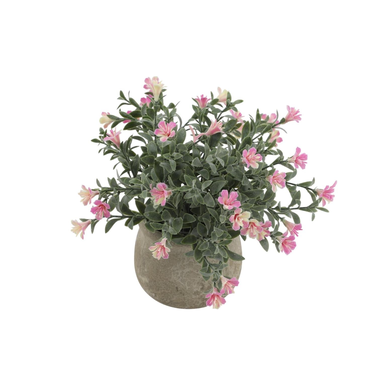 jpg_1500x1500_68731134