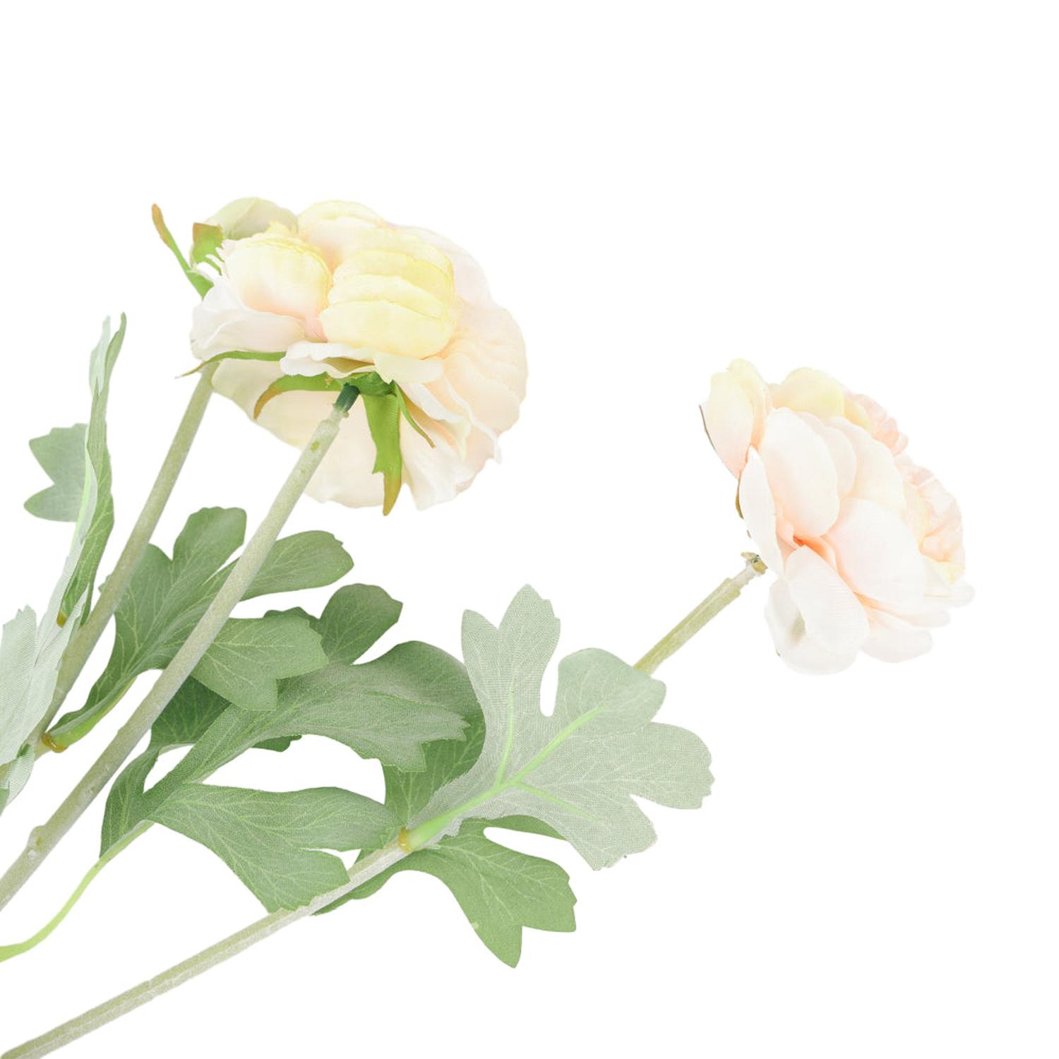 jpg_1500x1500_59872976