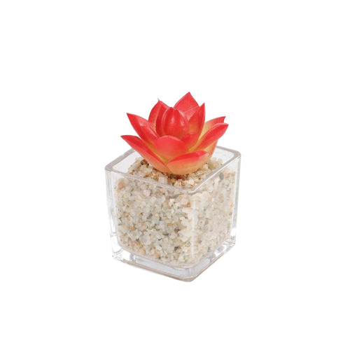 Mini Suculenta Artificial