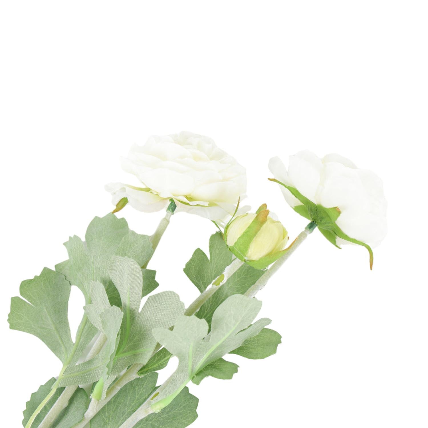 jpg_1500x1500_59872977