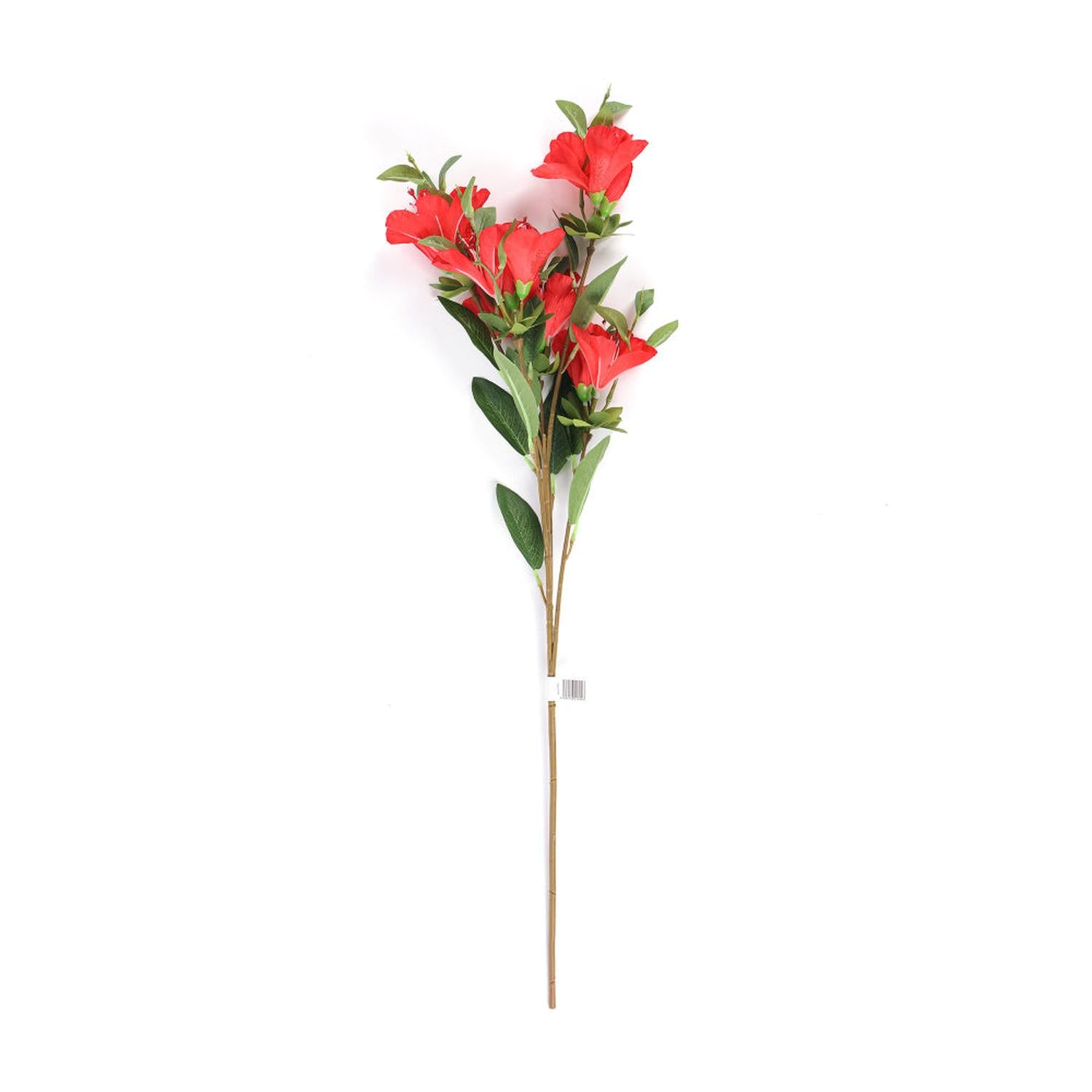 jpg_1500x1500_59872981