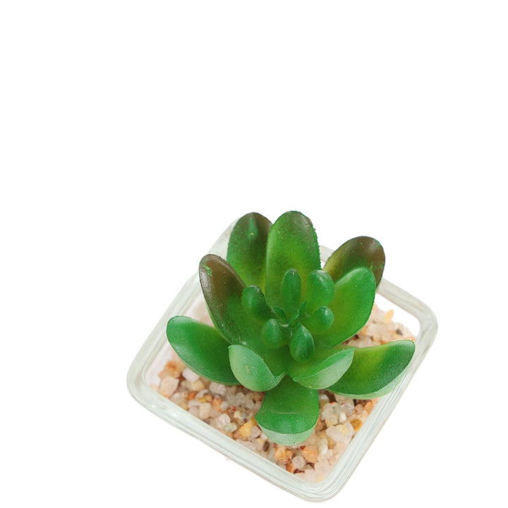 Suculenta artificial 5*8cm Verde