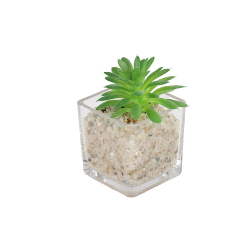 Mini Suculenta Artificial