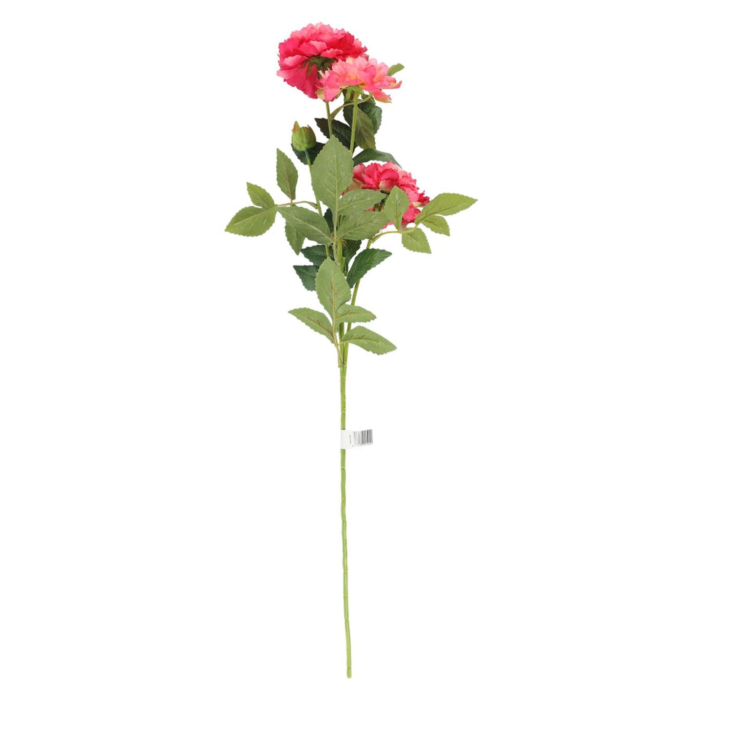 jpg_1500x1500_59872964