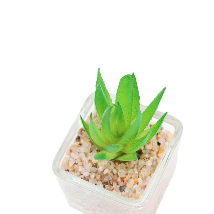 Suculenta artificial 5*8cm Decorativa