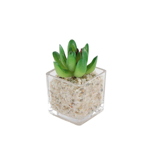 Mini Suculenta Artificial