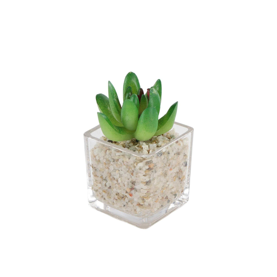 Mini Suculenta Artificial